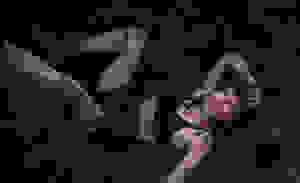 Placeholder for Mals beton digging maikel thijssen