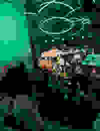 Placeholder for 2025 09 20 Kunstnacht Bram Versteeg WEB 16